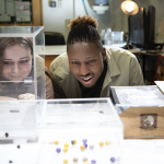Dr. Sammy Ramsey watches a group of bees in work through a puzzle in a lab.